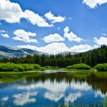test1231