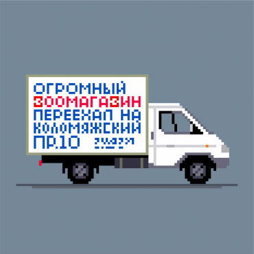 я люблю зверей