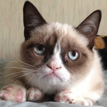котофей