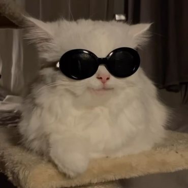 Котофей